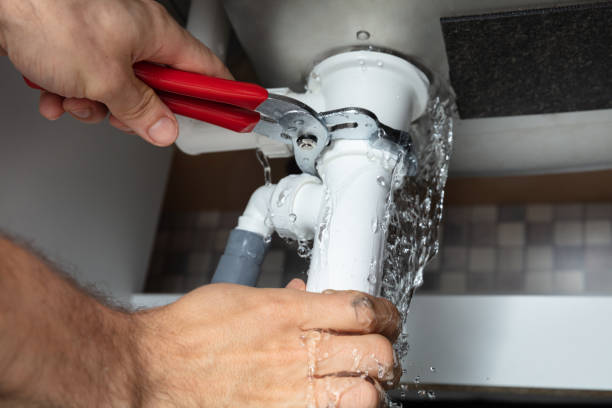 Best Mold removal after water damage  in Sandy, OR
