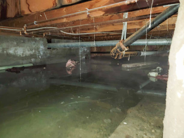 Water damage restoration process in Sandy, OR