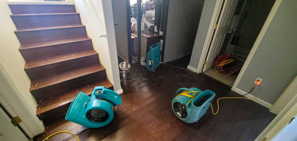 Professional Water damage restoration in Sandy, OR