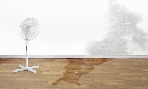 Best Sewage cleanup and water damage restoration  in Sandy, OR