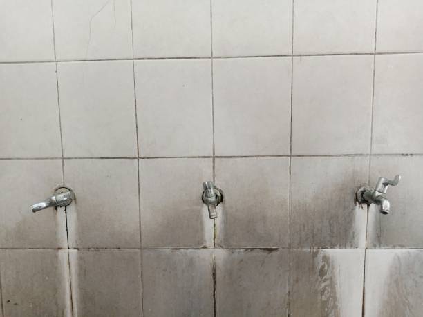 Best Local water damage restoration  in Sandy, OR