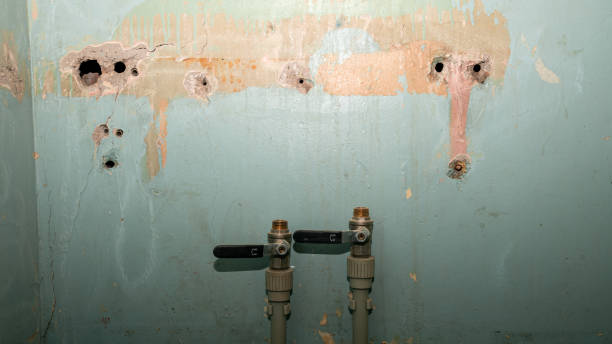 Best Professional water damage repair  in Sandy, OR