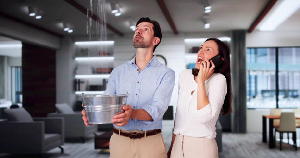 Best Water damage contractors near me  in Sandy, OR