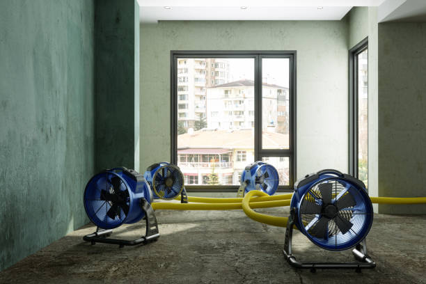 Best 24-hour water damage restoration  in Sandy, OR