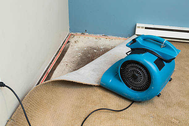 Best Water damage cleanup near me  in Sandy, OR